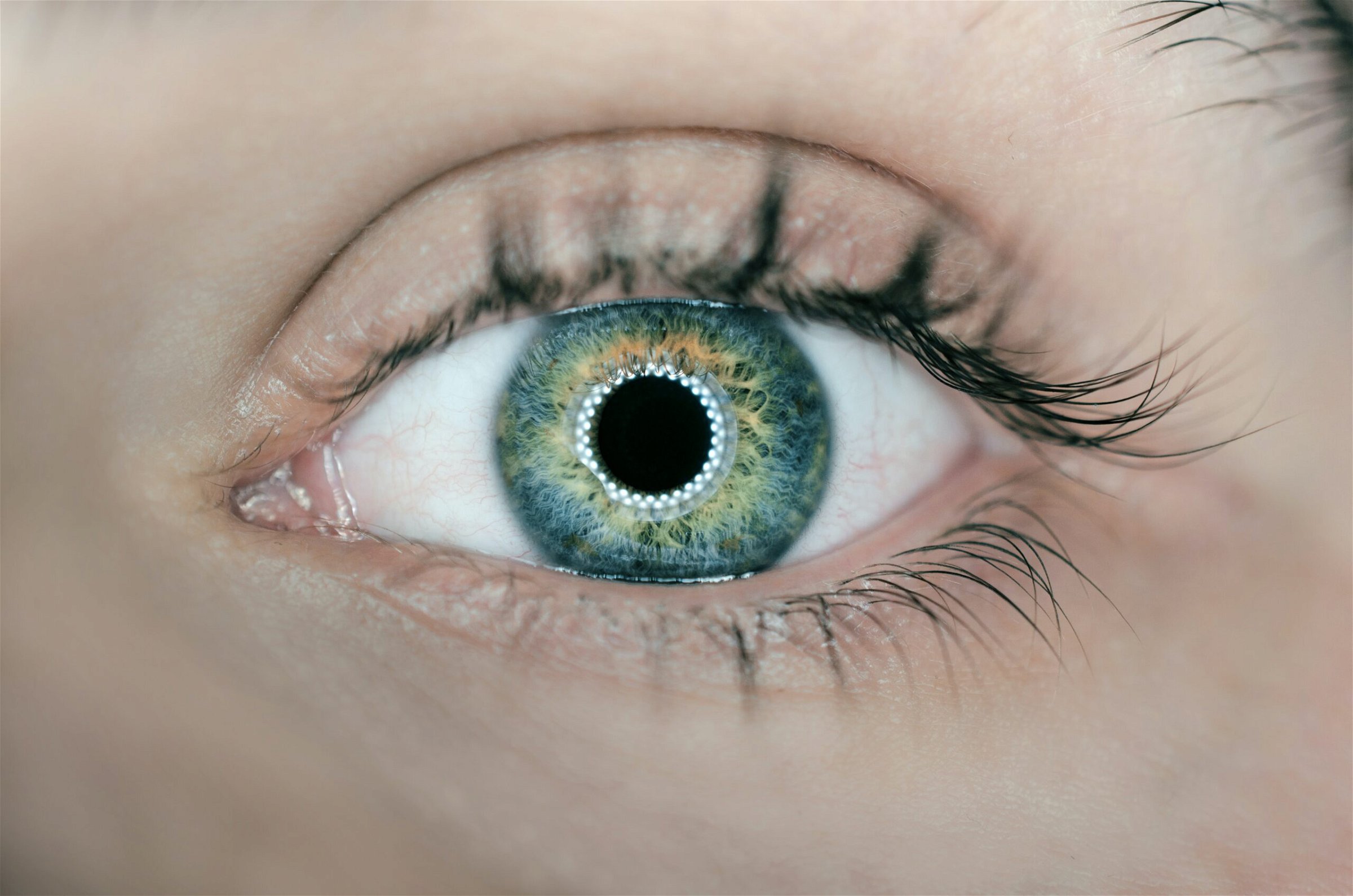 Image of a human eye