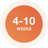 Image of 4 to 10 weeks orange circle - Destination Certification