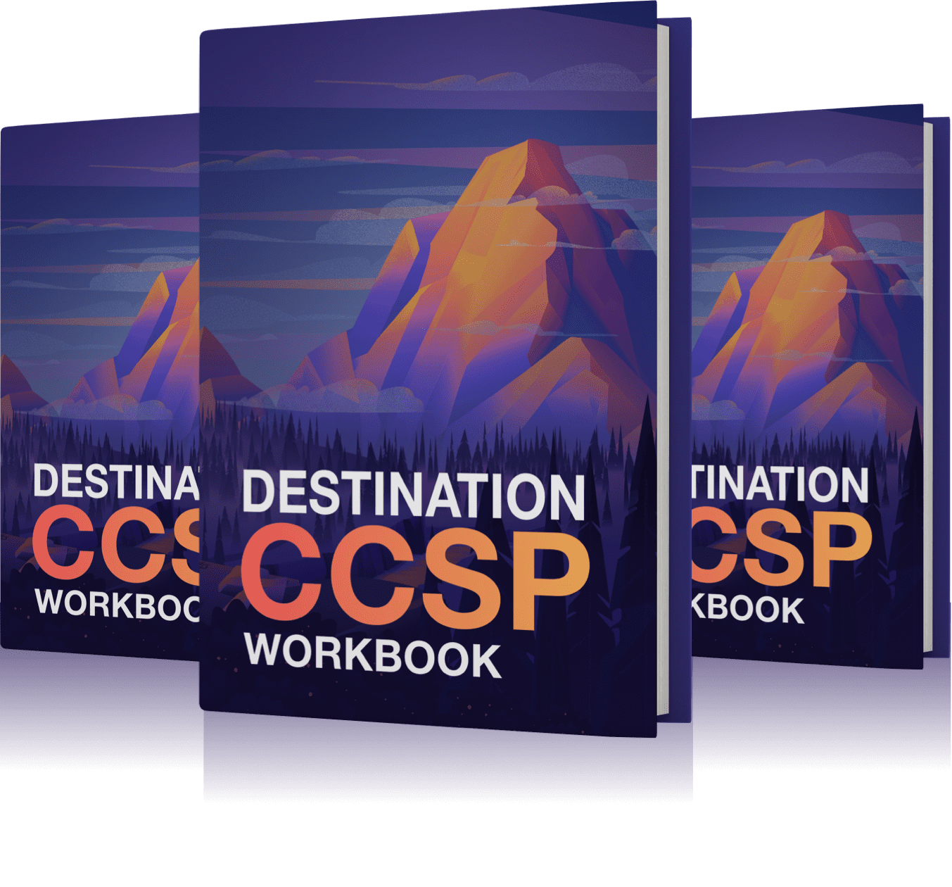 Image of 3 CCSP workbooks - Destination Certification