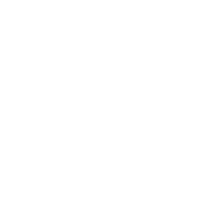 Icon for intellectual - Destination Certification