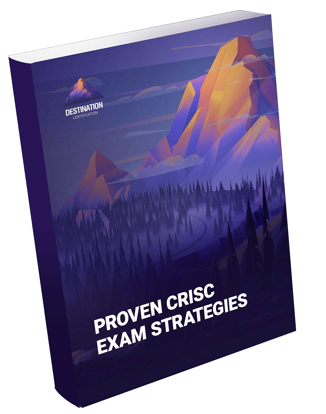 Image of CRISC Exam Strategies - Destination Certification