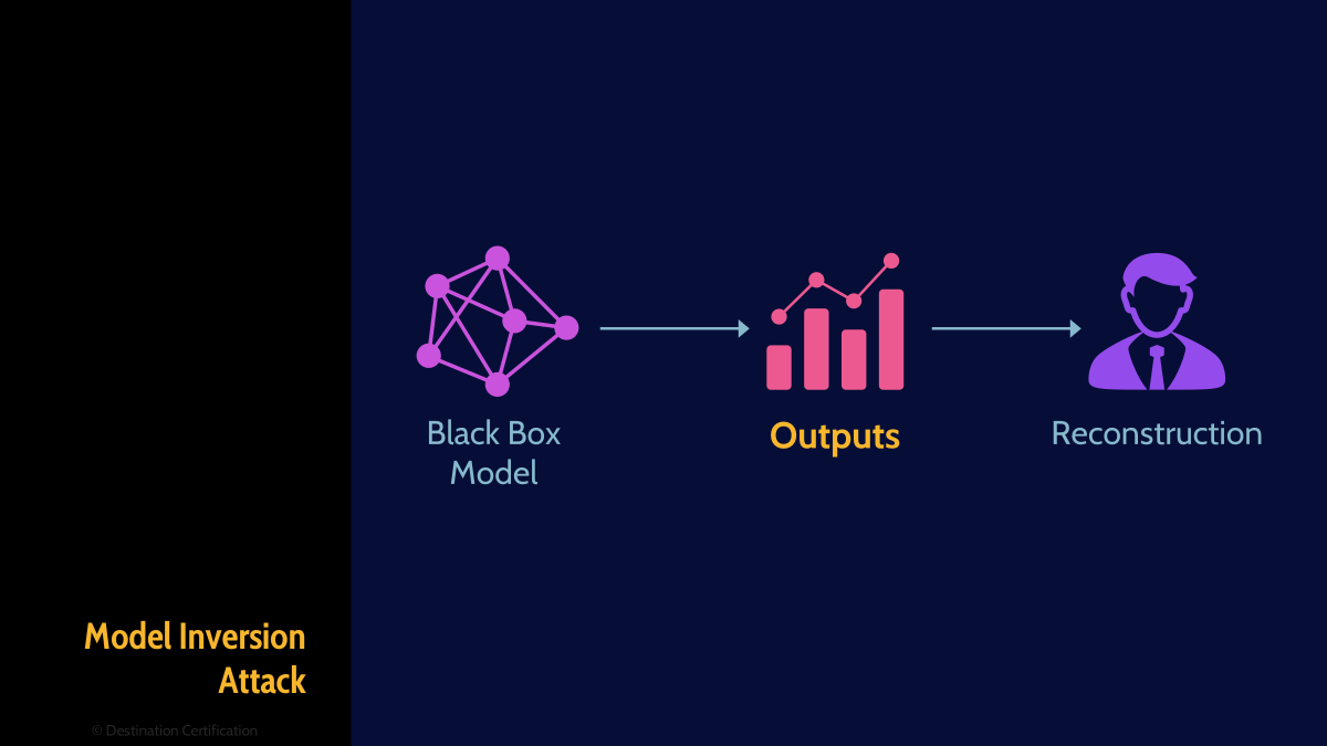 Image of model inversion - Destination Certification