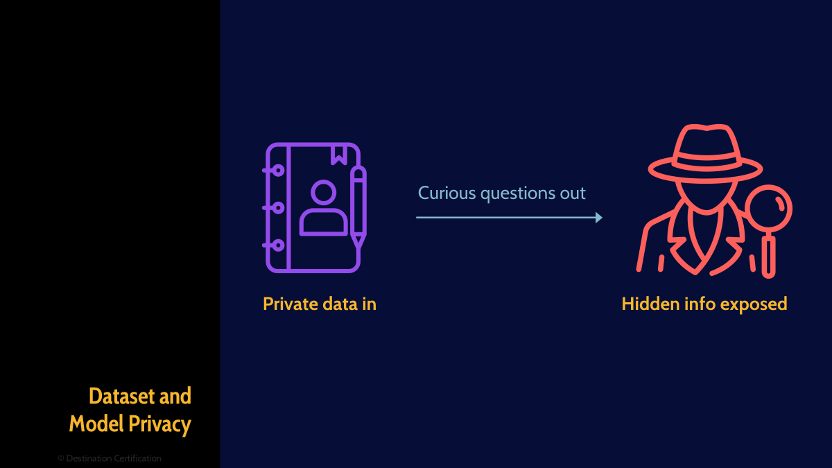 Image of model privacy - Destination Certification